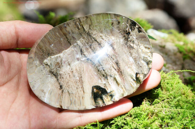 シャーマニック・ドリーム・クリスタル/ガーデンクォーツ(T318)