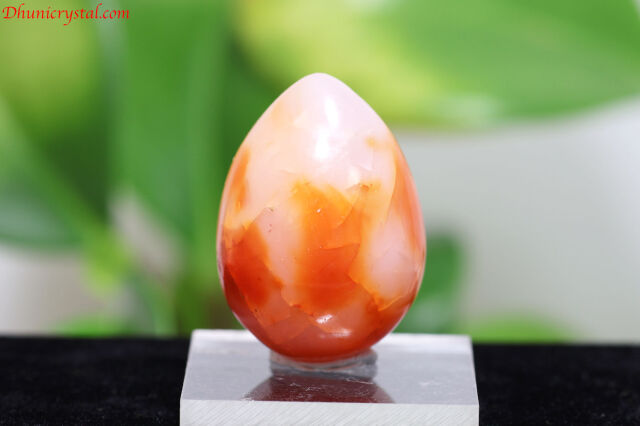 カーネリアン/卵型(T327)