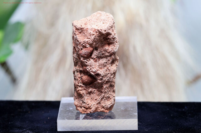 雷管石 fulgurite1.jpg