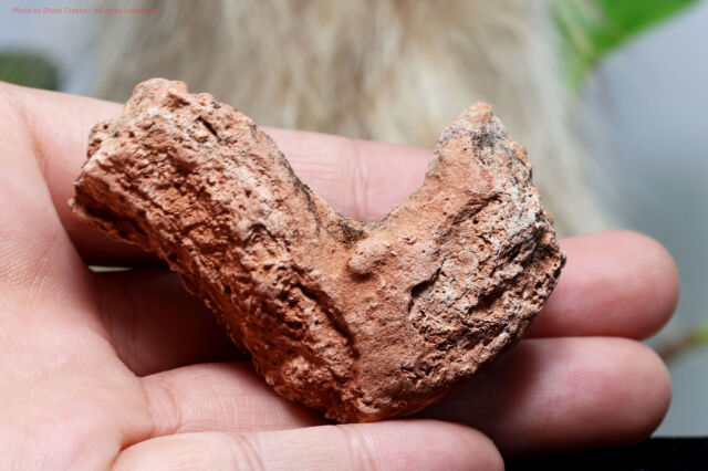 奇跡の共生石！エピドート＆クリスタル原石②　唯一無二の高波動パワーストーン 雷が生んだ奇跡の石 フルグライト 天然石 パワーストーン