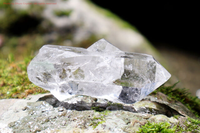 神々の恩寵ヒマラヤ水晶/マニハール産/クローライト(T341)