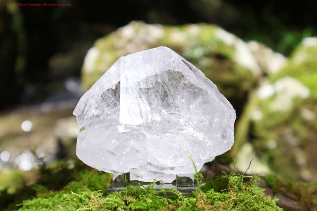 神々の恩寵ヒマラヤ水晶/マニハール産(T346)