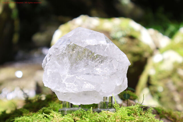 マニハール産ヒマラヤ水晶 希少天然石 高純度クリスタル