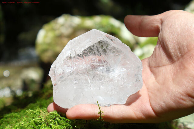 希少！ヒマラヤ水晶 ガネーシュヒマール産ヒマラヤ水晶クラスター｜マライカ公式通販