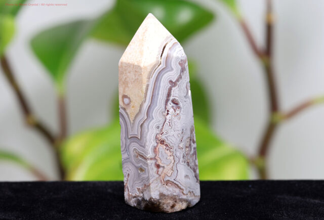 t351-2.jpg?t=20250911173248