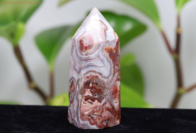 t354-2.jpg?t=20250911173243