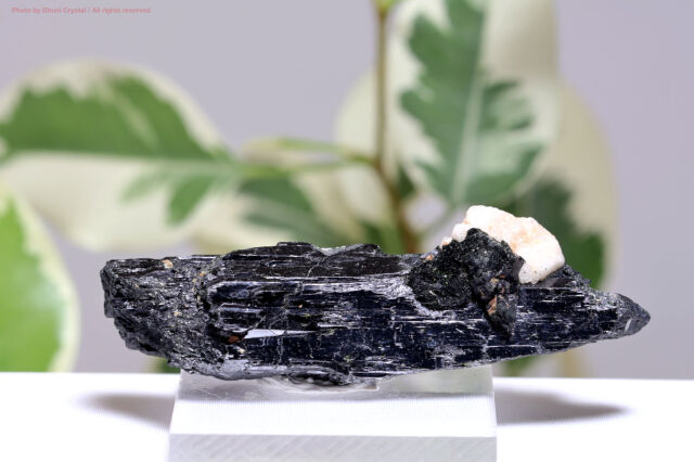 【SOLDOUT】エジリン原石/錐輝石(T391)