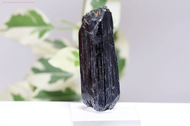 【SOLDOUT】エジリン原石/錐輝石(T393)