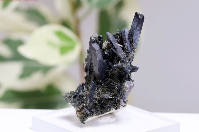 エジリン/錐輝石