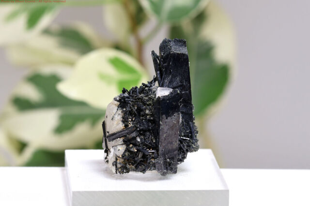 【SOLDOUT】エジリン原石/錐輝石(T396)