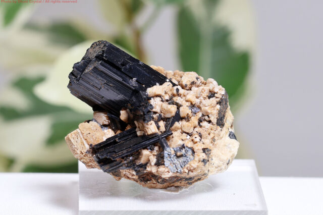 エジリン原石/錐輝石(T397)