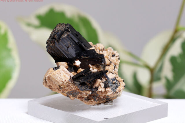 エジリン結晶】黒剣のような輝き・守護と浄化の石