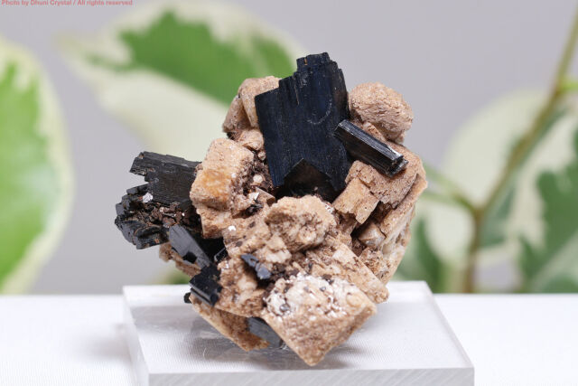 エジリン原石/錐輝石(T398)