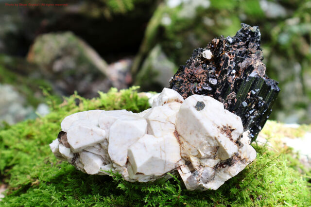 【SOLDOUT】マスター・エジリン原石/スモーキークォーツ&フェルドスパー＆ジルコン共生(T399)