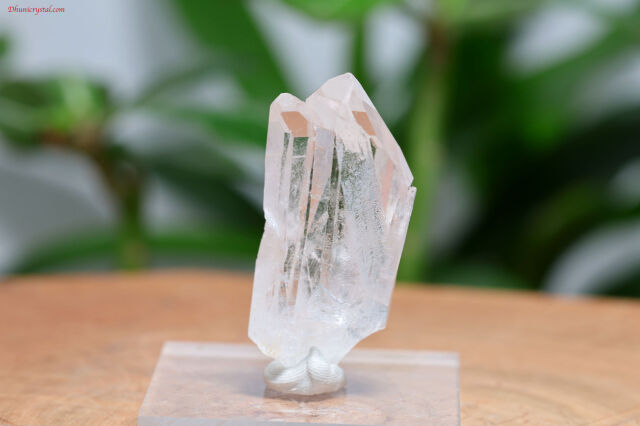 モンドクォーツ2023 ミストが美しいスモーキークォーツ モンドクォーツ2023 ミストが美しいスモーキークォーツ 【公式通販】