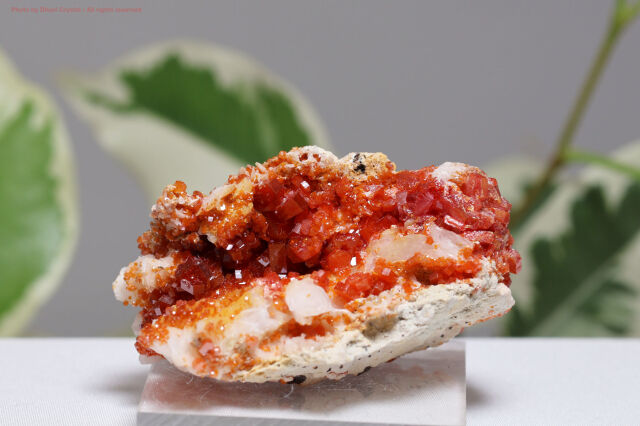 バナディナイト原石(T432)