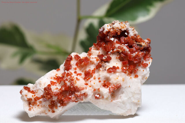 バナディナイト原石(T433)