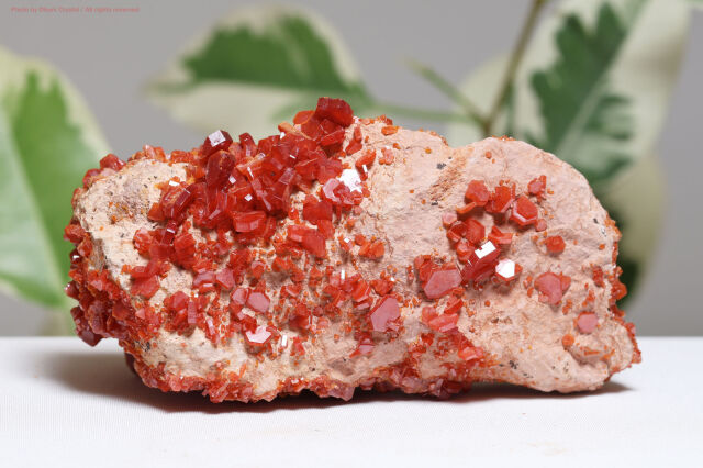 【SOLDOUT】バナディナイト原石(T436)