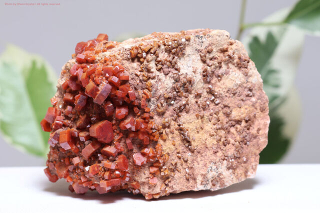 力強さと集中力を与える石 バナディナイト 天然石 鉱物標本