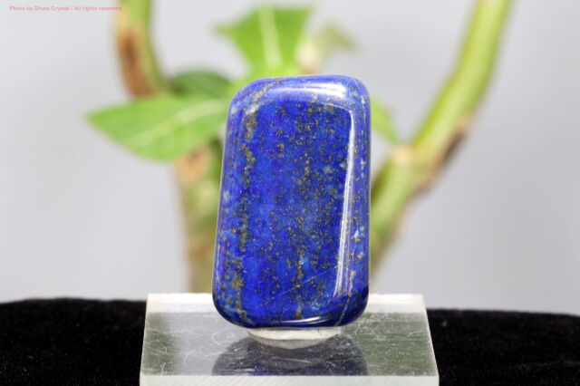 ラピスラズリ/タンブル(T443)