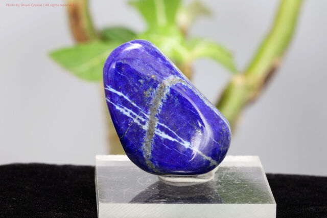 ラピスラズリ/タンブル(T444)