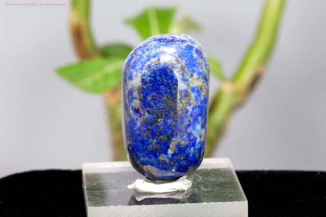 ラピスラズリ/タンブル(T446)