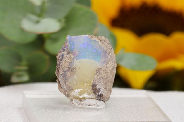 特大 800CT エチオピア オパール 原石 青 特大 【800CT】 エチオピア