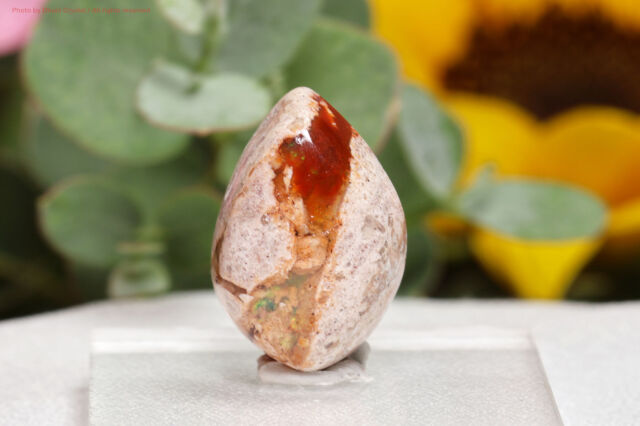 ファイヤーオパール/カボション(T465)