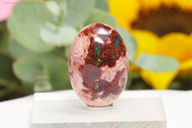 ファイヤーオパール/カボション(T466)