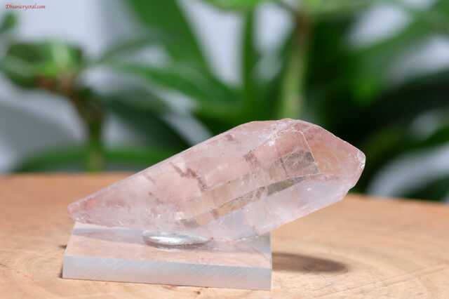 モンドクォーツ 超珍品マッドクォーツ モンドクォーツ 超珍品マッドクォーツ