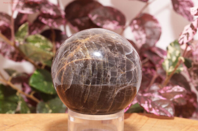 ブラックムーンストーン球/スフィア(T482)