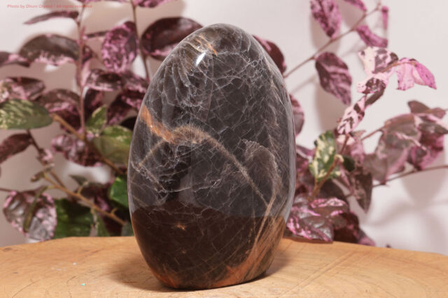 ブラックムーンストーン｜直感と癒しの守護石