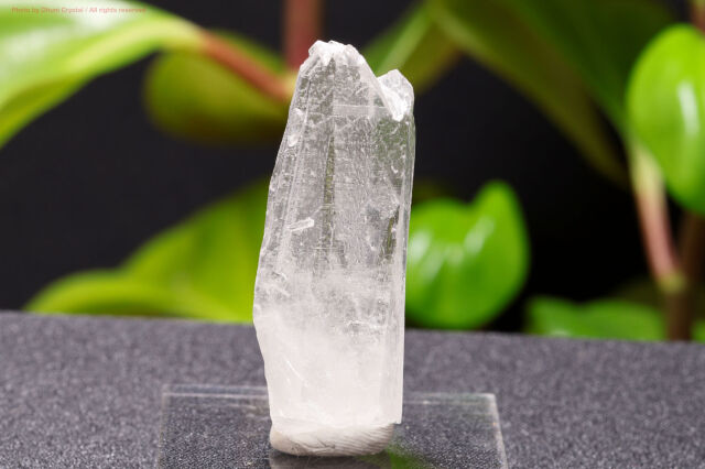 一点物】レムリアンシードクリスタル原石｜成長線が刻まれた高