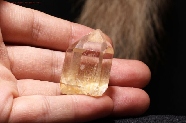 【希少】オールドストック　レムリアンシードクリスタル　ゴールドルチル 希少】オールドストック レムリアンシードクリスタル ゴールドルチル