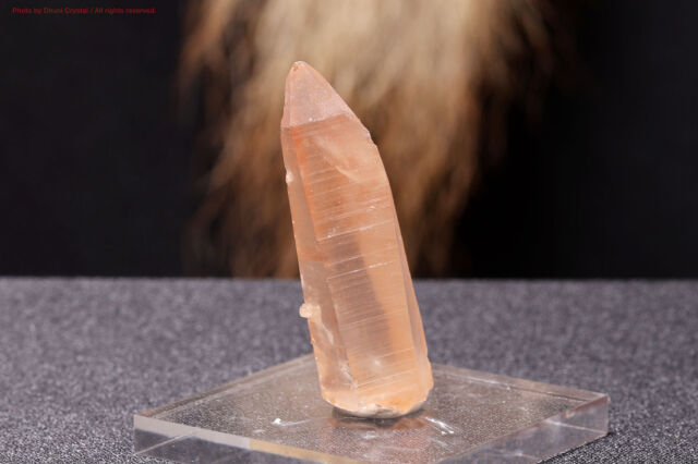 スカーレットテンプル・ピンクレムリアン｜愛と癒しの神殿を宿す