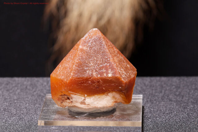 レッドドリームコートレムリアン✨トップクオリティ 希少 レムリアン 破格値 レッドドリームコートレムリアン✨トップクオリティ 希少