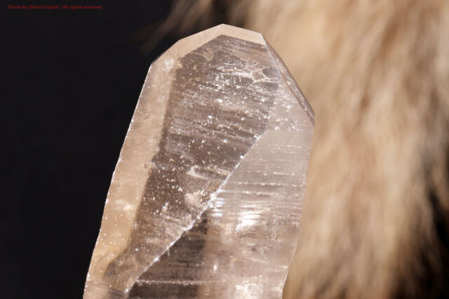 一点物】レムリアンシードクリスタル原石｜成長線が刻まれた高