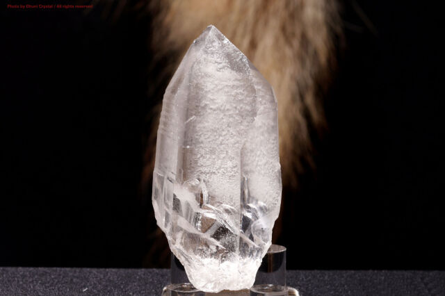 レムリアンシードクリスタル/原石ポイント(T581)