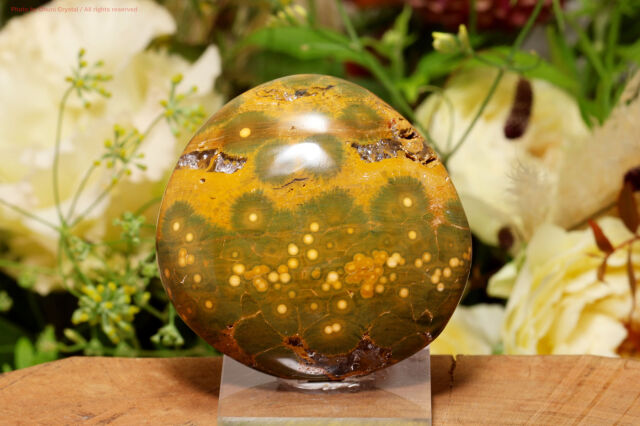 オーシャンジャスパー/スライス(D743）