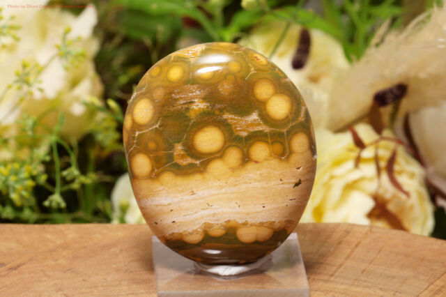 オーシャンジャスパー/スライス(D743）