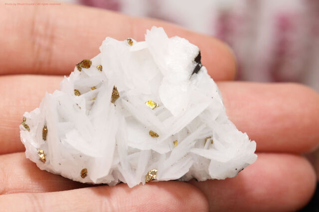 ホワイトローズカルサイト チャルコパイライト共生 鉱物標本