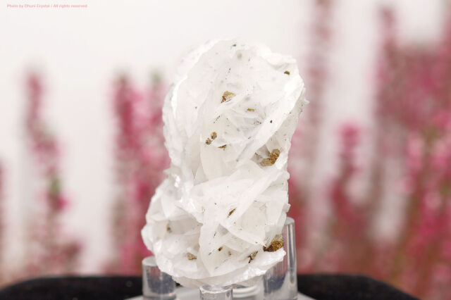 ホワイトローズカルサイト チャルコパイライト共生 鉱物標本