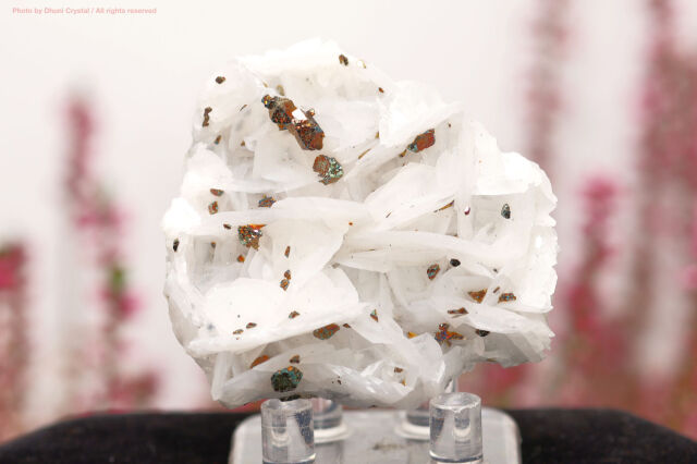 カルサイト/チャルコパイライト/共生鉱物(T643)