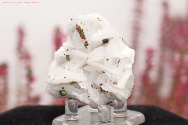 ホワイトローズカルサイト チャルコパイライト共生 鉱物標本