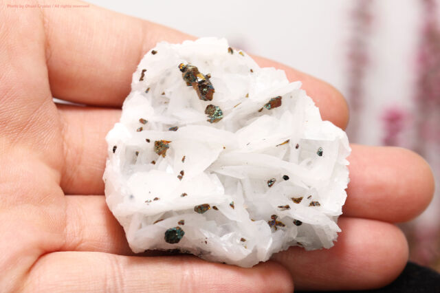 ホワイトローズカルサイト チャルコパイライト共生 鉱物標本