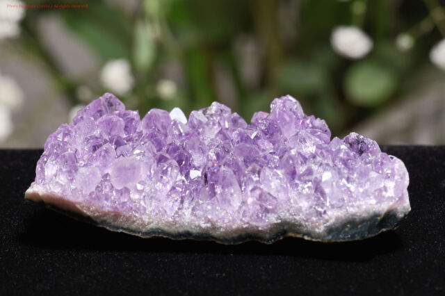 アメジスト/クラスター(T671)