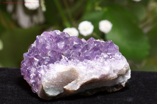 アメジスト/クラスター(T672)