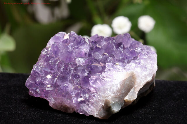 【にじ色】アメジストクラスター他 アメジストクラスター 空間を浄化し心を癒す高波動のヒーリングストーン