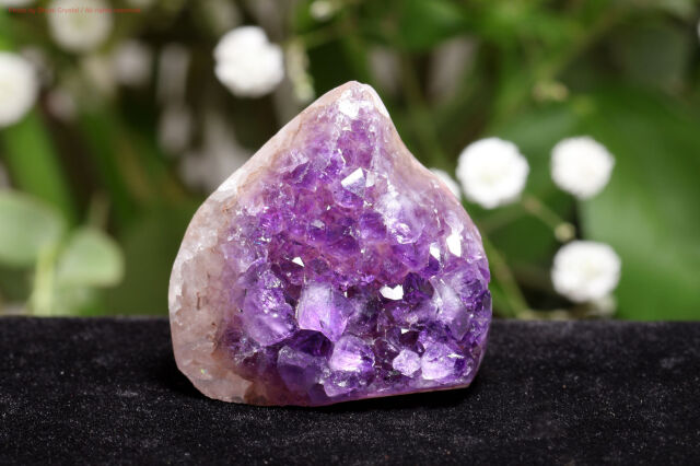 アメジスト/クラスター(T675)