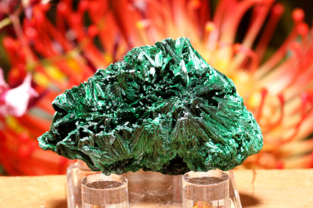 シルキー・マラカイト/絹状原石(T691)